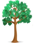 Árbol grande